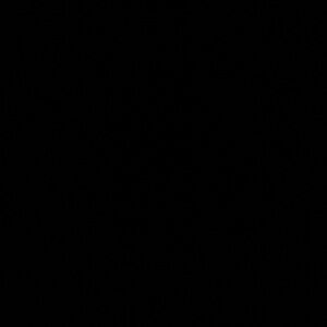 Meet your Posher, Emz